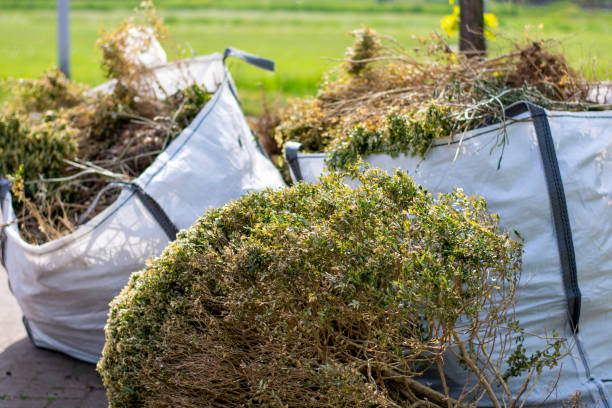 Yard Cleanup Services in Girard, IL